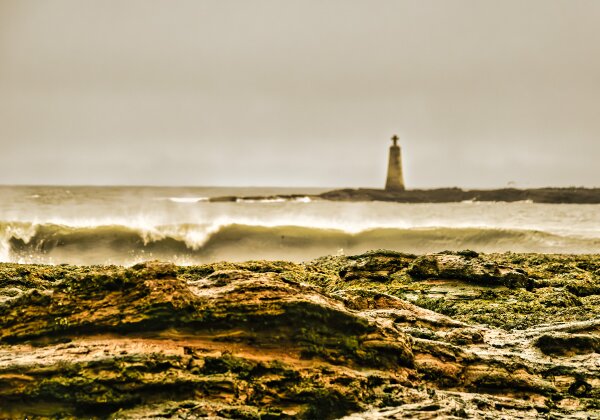 Schottland 2025 Schottland 2025 Schottlands Osten Schottland ist immer eine Reise wert und Schottlands Osten hat viel zu bieten: Alte...